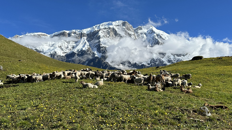 Kori Himal Trek